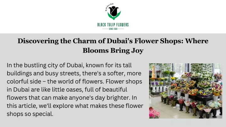 discovering the charm of dubai s flower shops