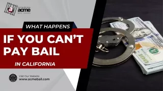 Can't Pay Bail in California? Understand Your Options | Acme Bail Bonds