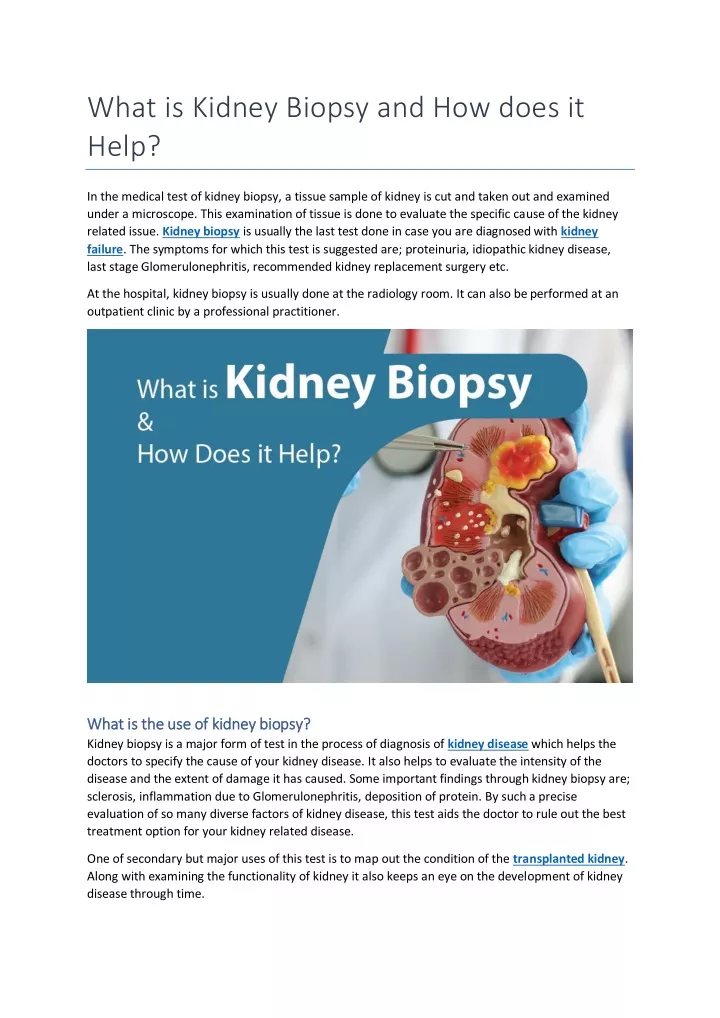 what is kidney biopsy and how does it help