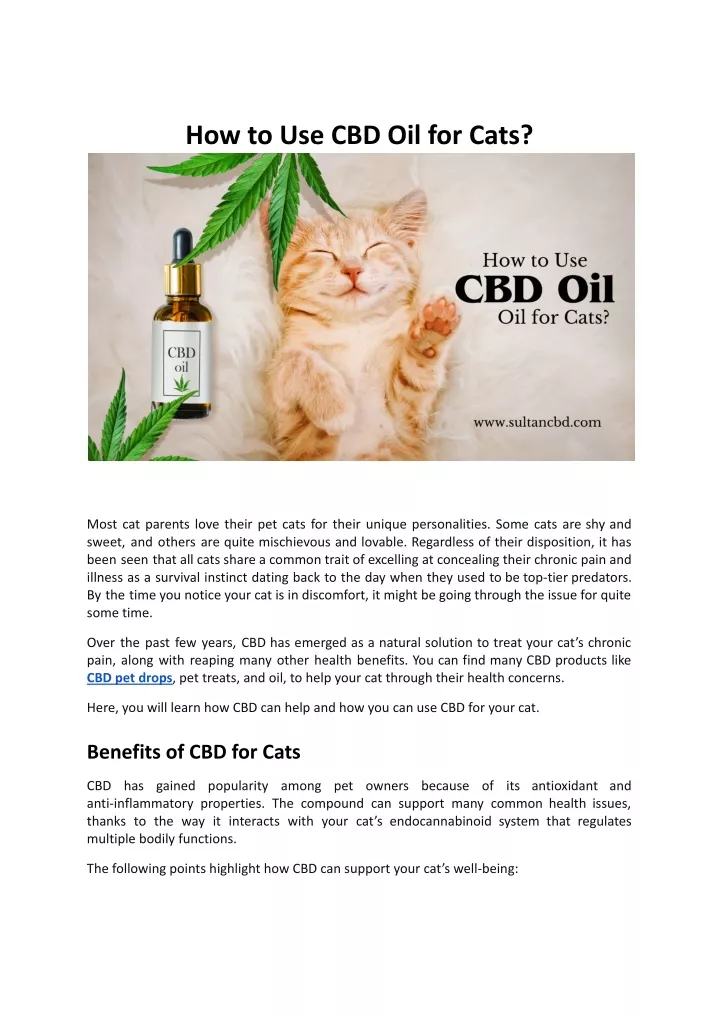 how to use cbd oil for cats