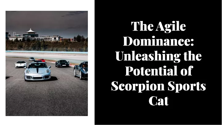 the agile dominance unleashing the potential