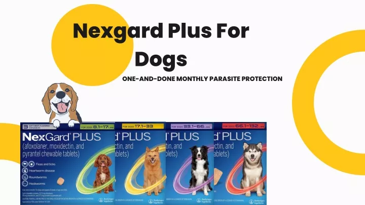 nexgard plus for dogs one and done monthly