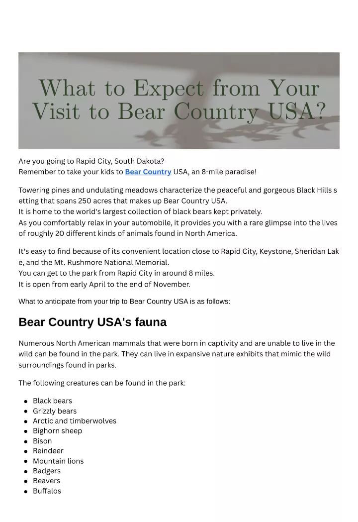 what to expect from your visit to bear country usa