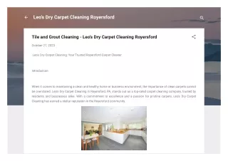 Tile and Grout Cleaning - Leo's Dry Carpet Cleaning Royersford
