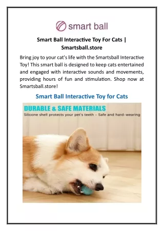 Smart Ball Interactive Toy For Cats  Smartsball.store