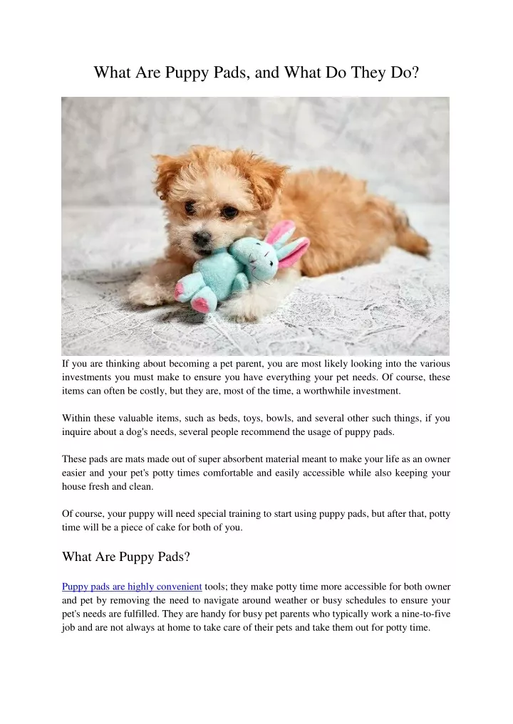 what are puppy pads and what do they do