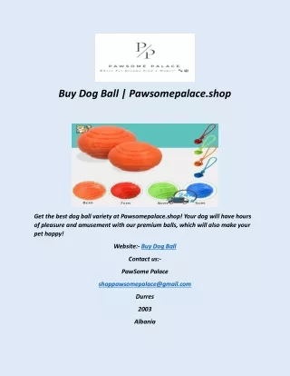 Buy Dog Ball   Pawsomepalace shop