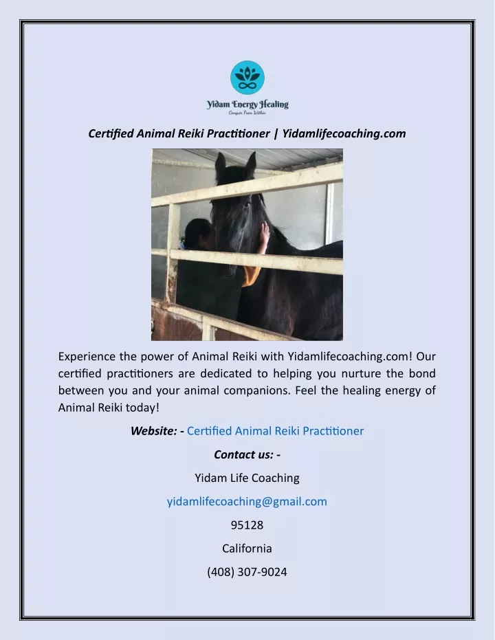 certified animal reiki practitioner