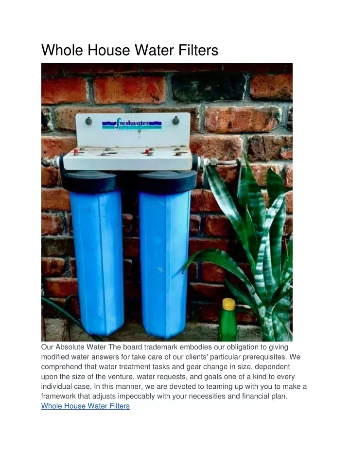 whole house water filters