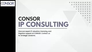 consor ip consulting
