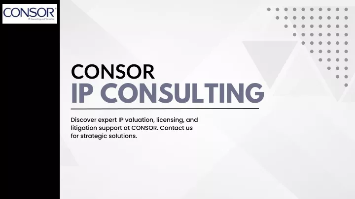 consor ip consulting