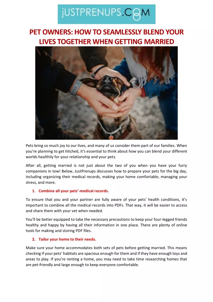 pet owners how to seamlessly blend your lives