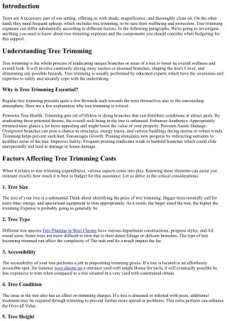 Every little thing You Need to Know About Tree Trimming Expenses: Variables to C