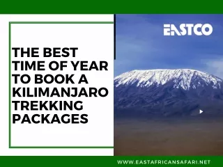 The Best Time of Year to Book a Kilimanjaro Trekking Packages