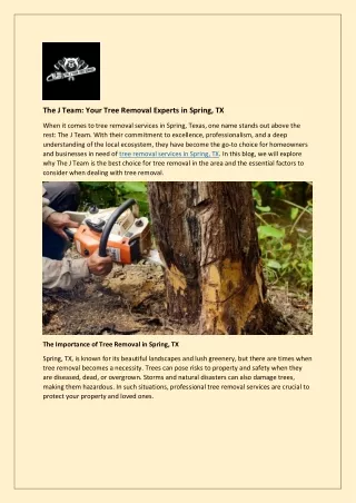 The J Team: Your Tree Removal Experts in Spring, TX
