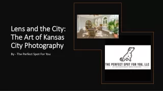 Lens and the City The Art of Kansas City Photography​