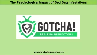 The Psychological Impact of Bed Bug Infestations