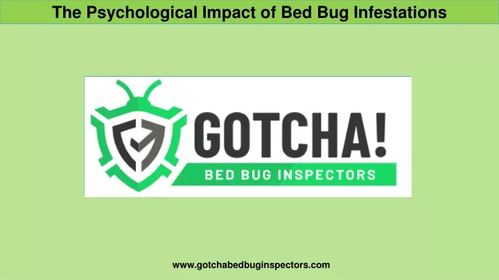 the psychological impact of bed bug infestations