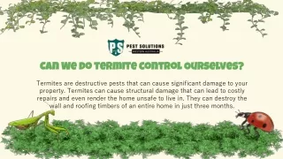 Can We do termite control Oursevles?