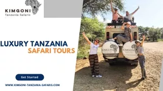 Luxury Tanzania safari tours