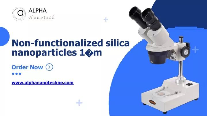 non functionalized silica nanoparticles 1 m