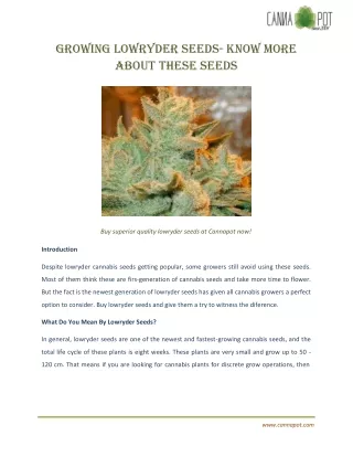 Growing Lowryder Seeds- Know More About These Seeds