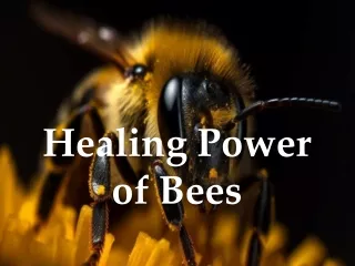 Healing Power of Bees - www.Sovereignstatesofmind.com