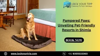 Pampered Paws Unveiling Pet-Friendly Resorts in Shimla
