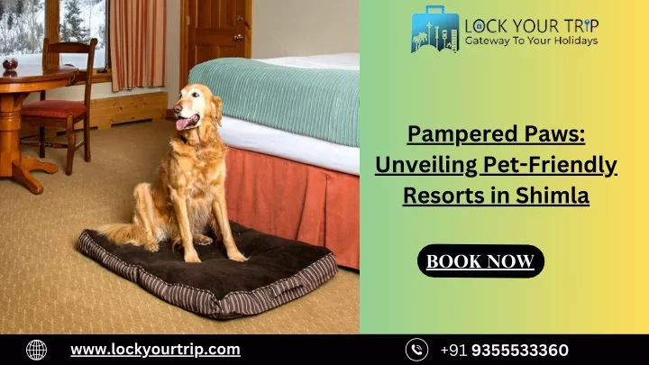 pampered paws unveiling pet friendly resorts