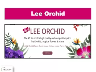 Should You Get Loose Orchid Flowers?