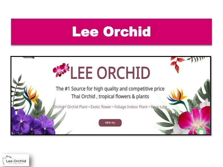 lee orchid