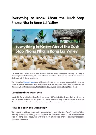 Everything to Know About the Duck Stop Phong Nha in Bong Lai Valley