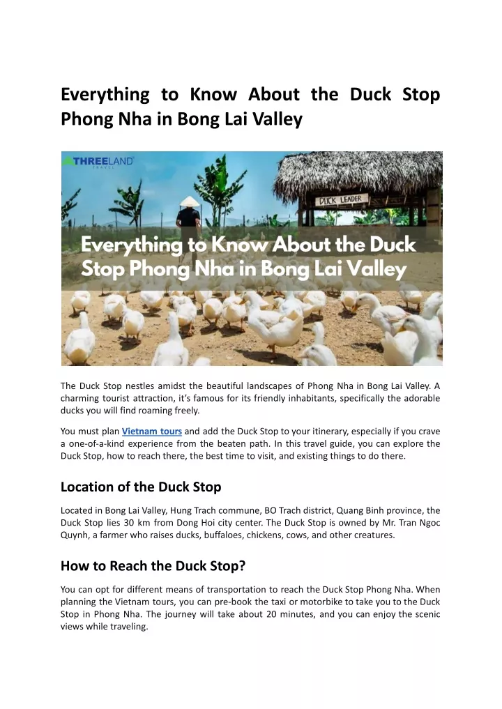 everything to know about the duck stop phong