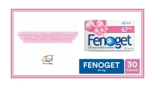 A Journey Towards A Healthier You The Importance Of Cholesterol Control And The Power Of Fenoget 67mg