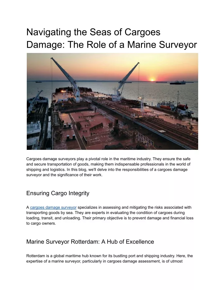 navigating the seas of cargoes damage the role