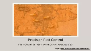 Pre Purchase Pest Inspections Adelaide
