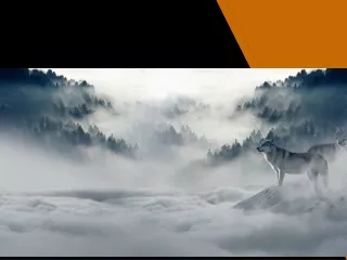 Абай