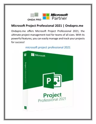Microsoft Project Professional 2021  Ondapro.me