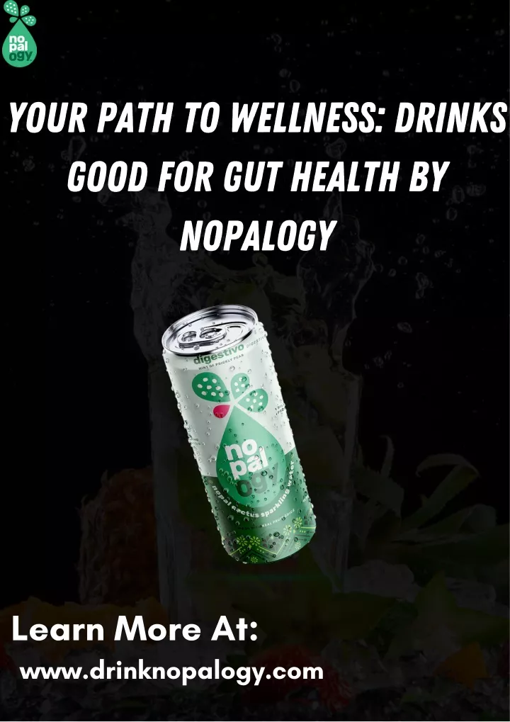 your path to wellness drinks good for gut health
