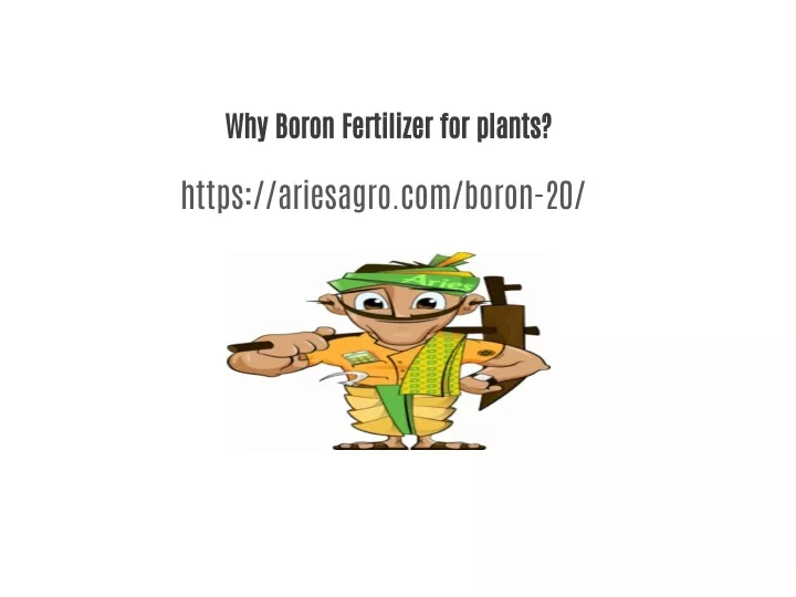 why boron fertilizer for plants