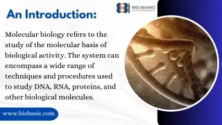 Order Molecular Biology Kit Online