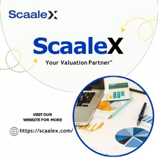 Your business valuation partner: scaalex