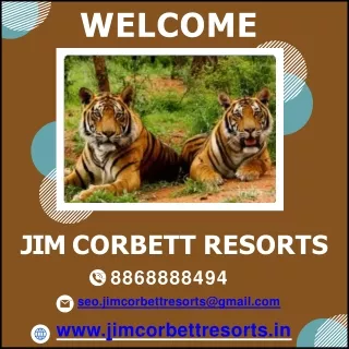 Exploring the Wild: A awesome Corbett Jeep Safari Experience