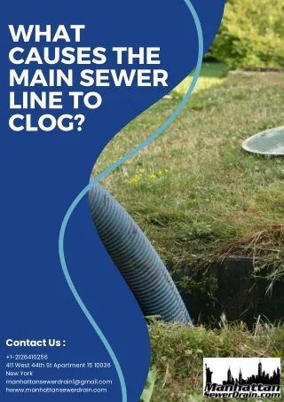 What Causes the Main Sewer Line to Clog?