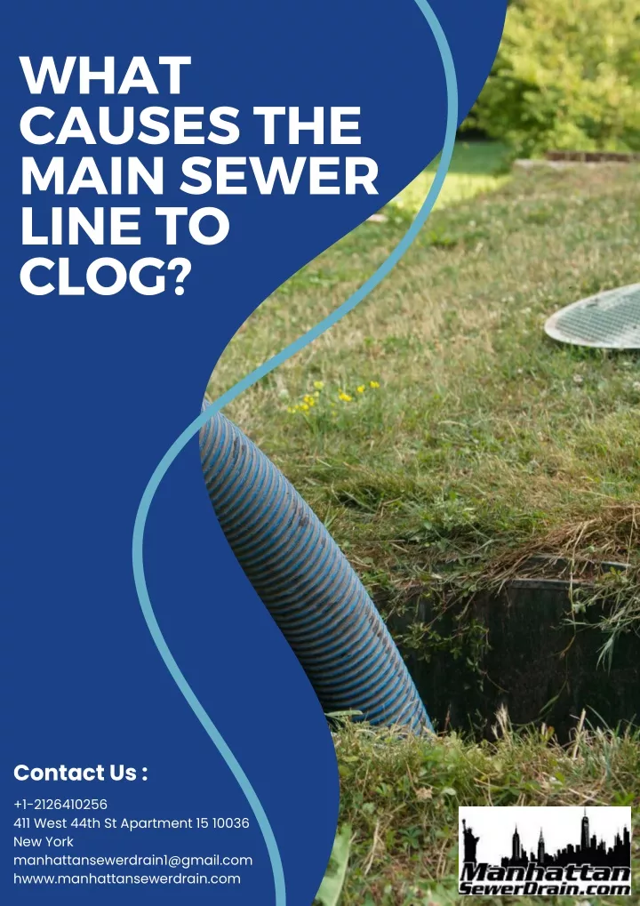 what causes the main sewer line to clog