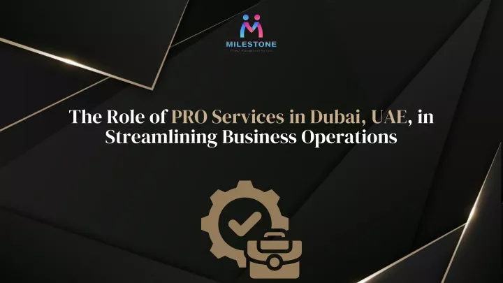 the role of pro services in dubai uae in streamlining business operations