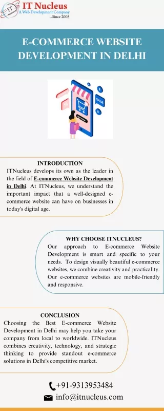 e commerce website development in delhi