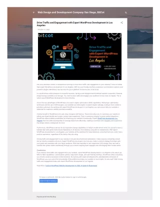 web design and development company san diego