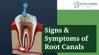 Unveiling the Truth About Root Canals: Signs & Symptoms