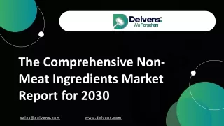 The Comprehensive Non-Meat Ingredients Market Report for 2030